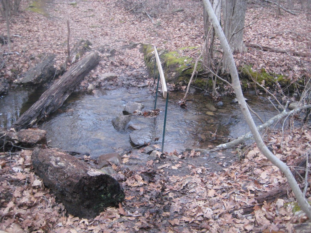 I didn't feel like starting the walk with a dip in the water.