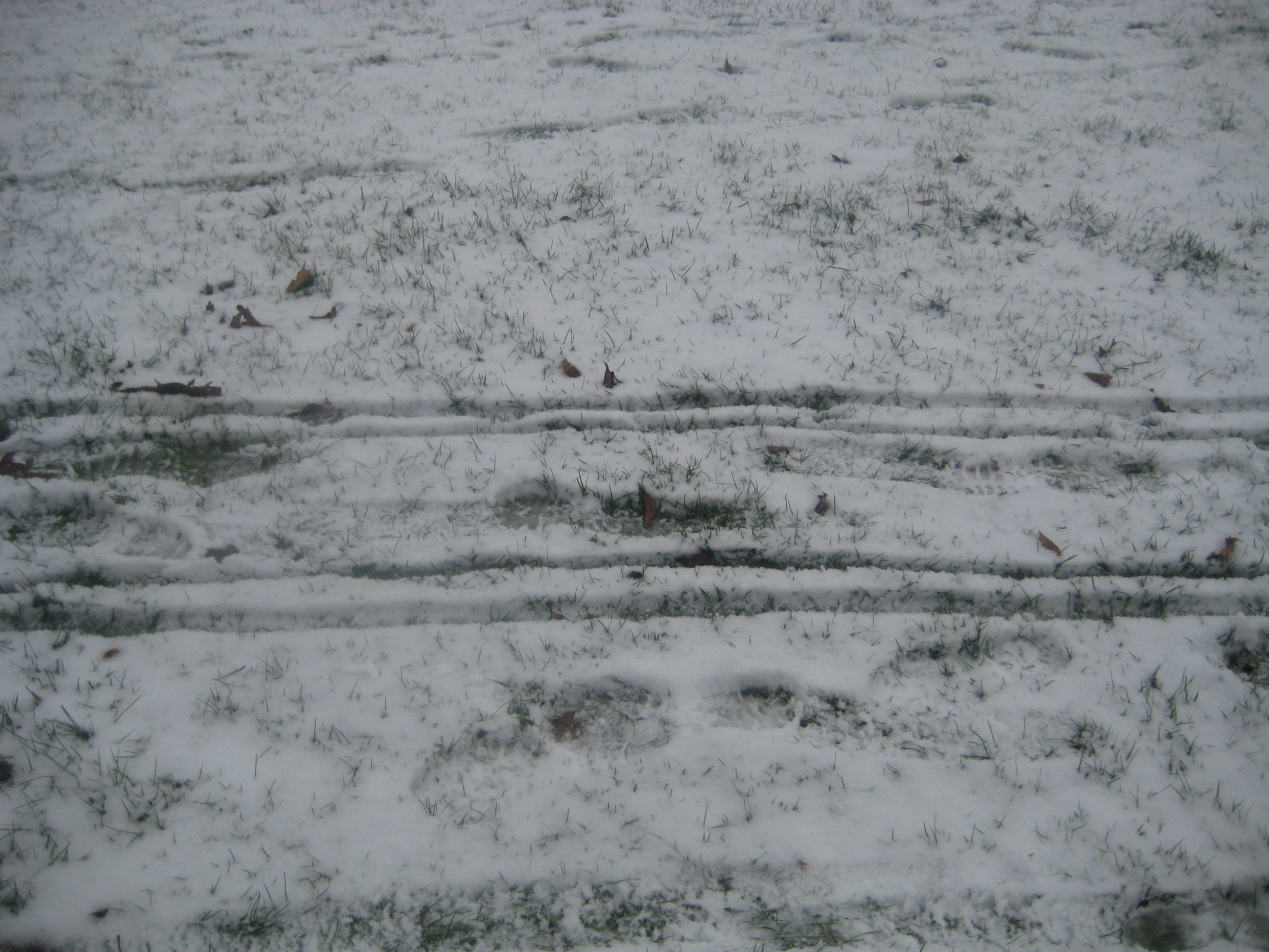 Oh NO!  His foot prints are all over these sleigh tracks.  I hope he didn't eat Santa.