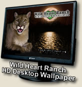 Picture copied from Wild Heart Ranch Website. 