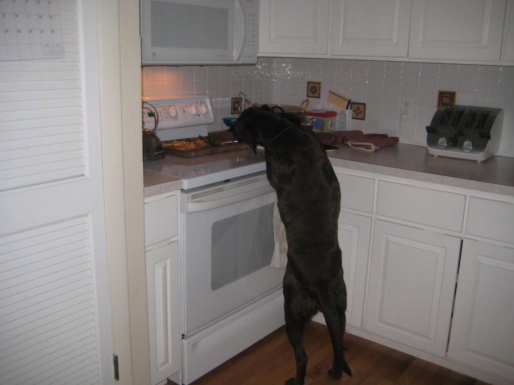 Counter Surfing 101