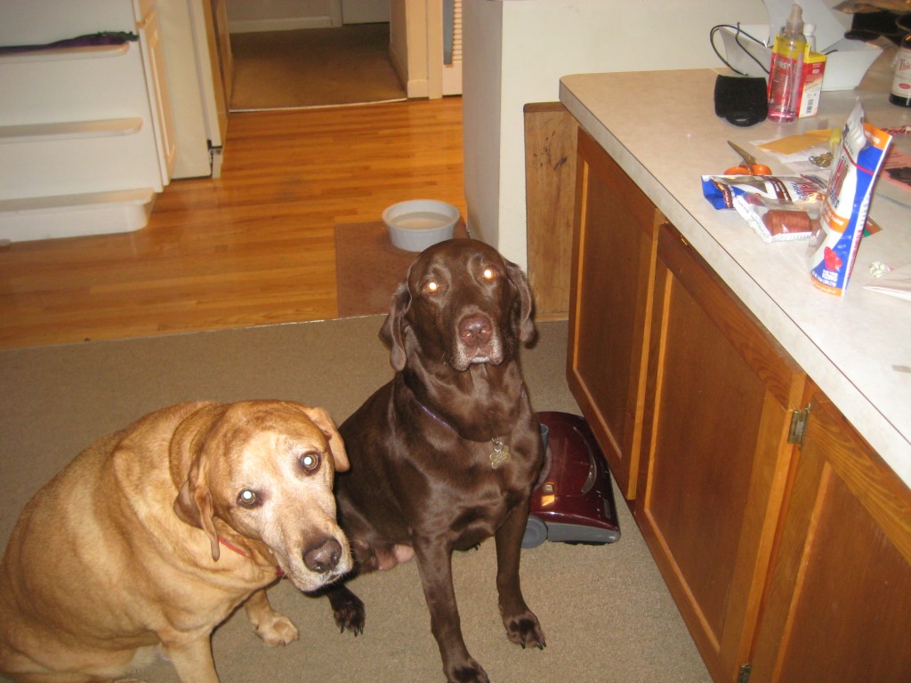 There were two little helpers anxiously awaiting the opening of the package.