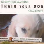Train-Your-Dog-Badge-150x150